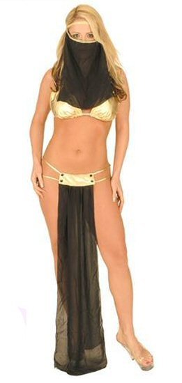 3 Piece Veiled Harem Girl Costume.