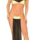 3 Piece Veiled Harem Girl Costume