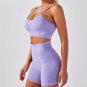 Seamless Ourdoor Sportwear Sport Apparel Sexy Fitness Shorts with Bra Set