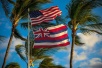 ALoha808state