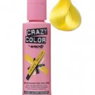Renbow Crazy Color Canary Yellow - 49