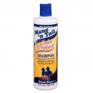 Mane 'n Tail Color Protect Shampoo 12oz