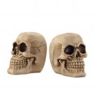 skull bookends