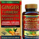 GINGER TURMERIC HORSERADISH TREE with GREEN TEA 90 Capsules ANTIOXIDANTS