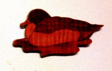 Duck Magnet