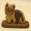 Yorkie