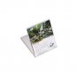 200 Clear Calendar Cases BL79