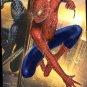 Spider-Man 3 (DVD, 2007) NEW