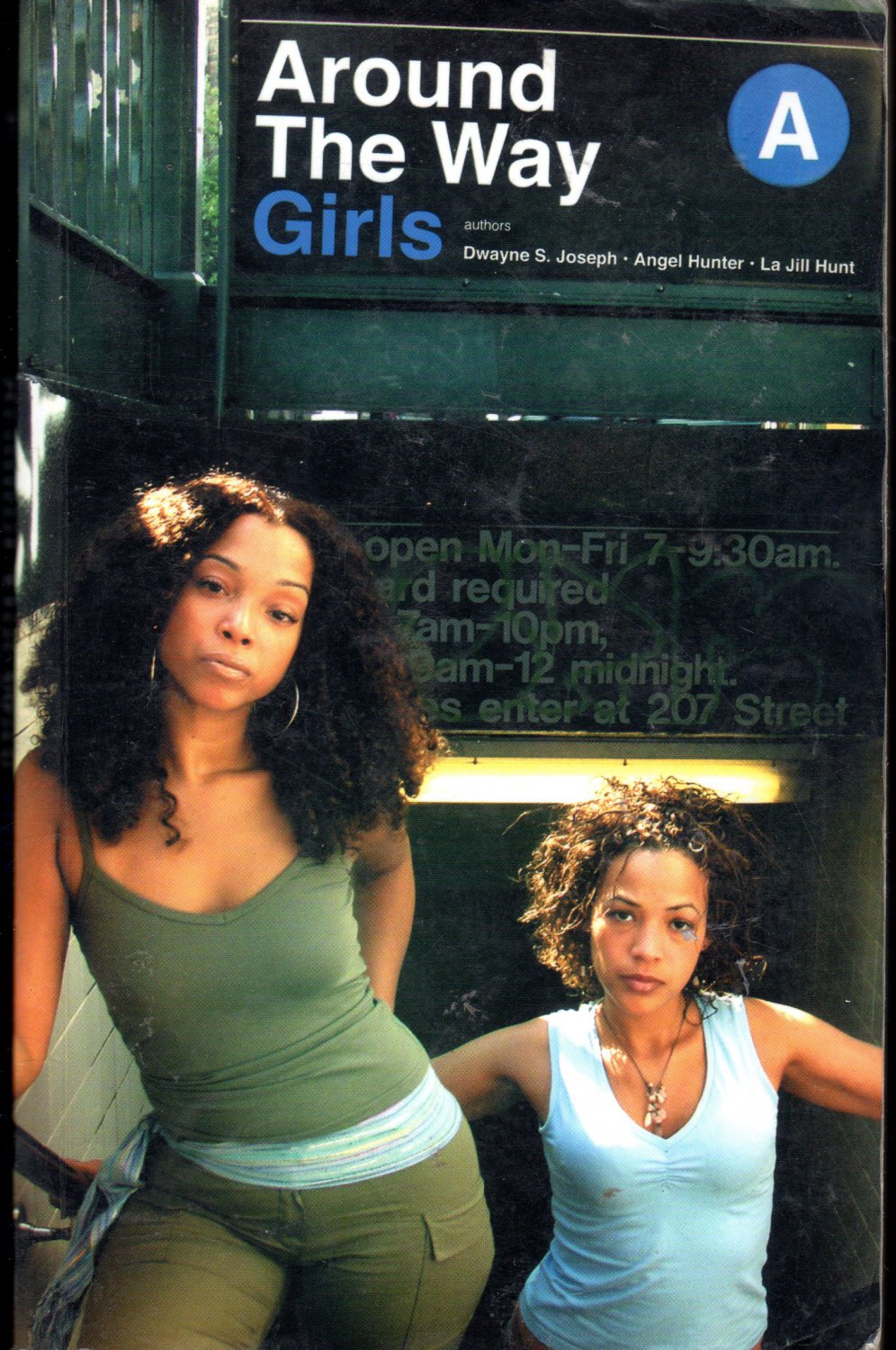 Around The Way Girls By Dwayne Joseph