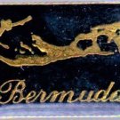 Bermuda Tourist Travel Souvenir Collector Pin