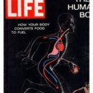 Life Magazine, December 7,1962