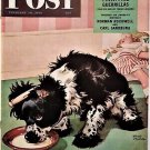 Saturday Evening Post Magazine - Feb. 10, 1945. cover by Staehle