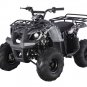 110CC ATA125D ATV