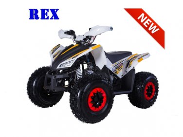 120cc Rex ATV