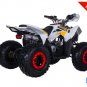 120cc Rex ATV