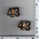 43rd Precinct Collar Brass (Bronx) as per the NYPD-Patrol-Guide