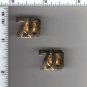 70th Precinct Collar Brass (Brooklyn) as per the NYPD-Patrol-Guide