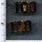 100th Precinct Collar Brass (Queens) as per the NYPD-Patrol-Guide
