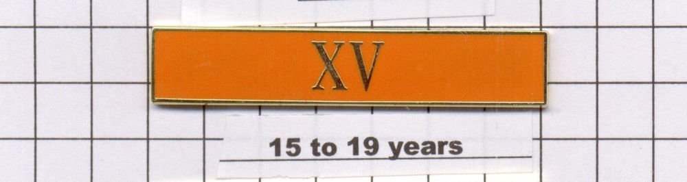 Sheriff's Dept 15-19 Year Longevity Bar (XV) Citation Bar - pin back - Orange
