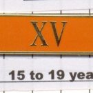 Sheriff's Dept 15-19 Year Longevity Bar (XV) Citation Bar - pin back - Orange
