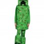 Size 4-6 MINECRAFT CREEPER DELUXE CHILD COSTUME  SWWHC883187