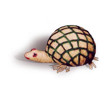 Coir Tortoise