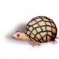 Coir Tortoise