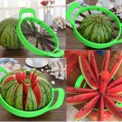 Watermelon instant for Slices