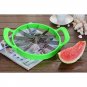 Watermelon instant for Slices