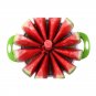 Watermelon instant for Slices