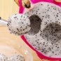 Perfect Spoon To Make Beautiful Fruit Desert