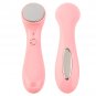 Take Care of Your Skin Massage Groomer