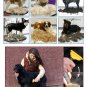 Pro Pet Hair Remover Brush