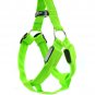 Pet Dog Safety See Him in The Dark