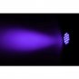 Sperm & Semen Detection Detector Kit Black Light Clothes UV Lite Lab Check Mate