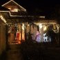 Laser Fairy Light Projection Outdoor Laser Projector Light For Xmas Christmas