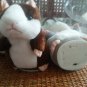 New Toy For Your Children - Funny Talking Hamster Mouse Pet Speak Sound Record