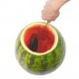 PROfreshionals Melon Tap Summer Infuse Dispensing Jug Fruit Watermelon Drink