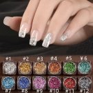 SaiDeng 12 Colors Powder Nail Art Glitter Rainbow Pigme Manicure Chrome Pigments