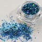 SaiDeng 12 Colors Powder Nail Art Glitter Rainbow Pigme Manicure Chrome Pigments