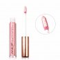 2017 Liquid Lipstick Hot Sexy Rose Colors Lip Paint Matte Lipstick Waterproof