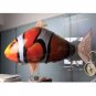Clown Fish - Remote Control Air Swimming Fish - The RC Air Fish Standard Shippin