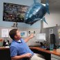AeroFishâ¢ï¸ - The Remote Controlled Flying Balloon - Shark