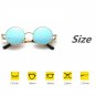 Steampunk Sunglasses Round Retro Vintage Lens Glasses Flip Up Cool Mirror Style