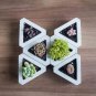 SILICONE Mold Triangle Concrete Molds Flower Multi - Meat Cement 3D Potting