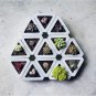 SILICONE Mold Triangle Concrete Molds Flower Multi - Meat Cement 3D Potting