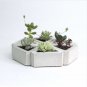 SILICONE Mold Triangle Concrete Molds Flower Multi - Meat Cement 3D Potting