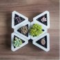 SILICONE Mold Triangle Concrete Molds Flower Multi - Meat Cement 3D Potting