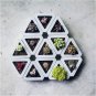 SILICONE Mold Triangle Concrete Molds Flower Multi - Meat Cement 3D Potting