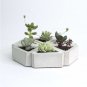 SILICONE Mold Triangle Concrete Molds Flower Multi - Meat Cement 3D Potting